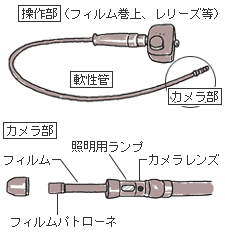 �݃J����