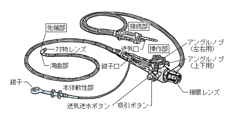 医用ファイバースコープの構造