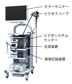 内視鏡システム