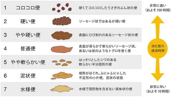 エッチ の 後 下痢