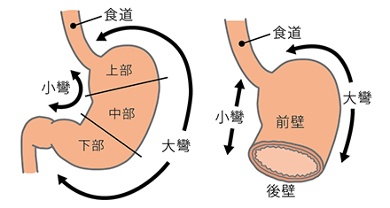 げっぷ 膵炎 症状 膵臓（膵炎）が心配な方へ(1) ～初期症状編～